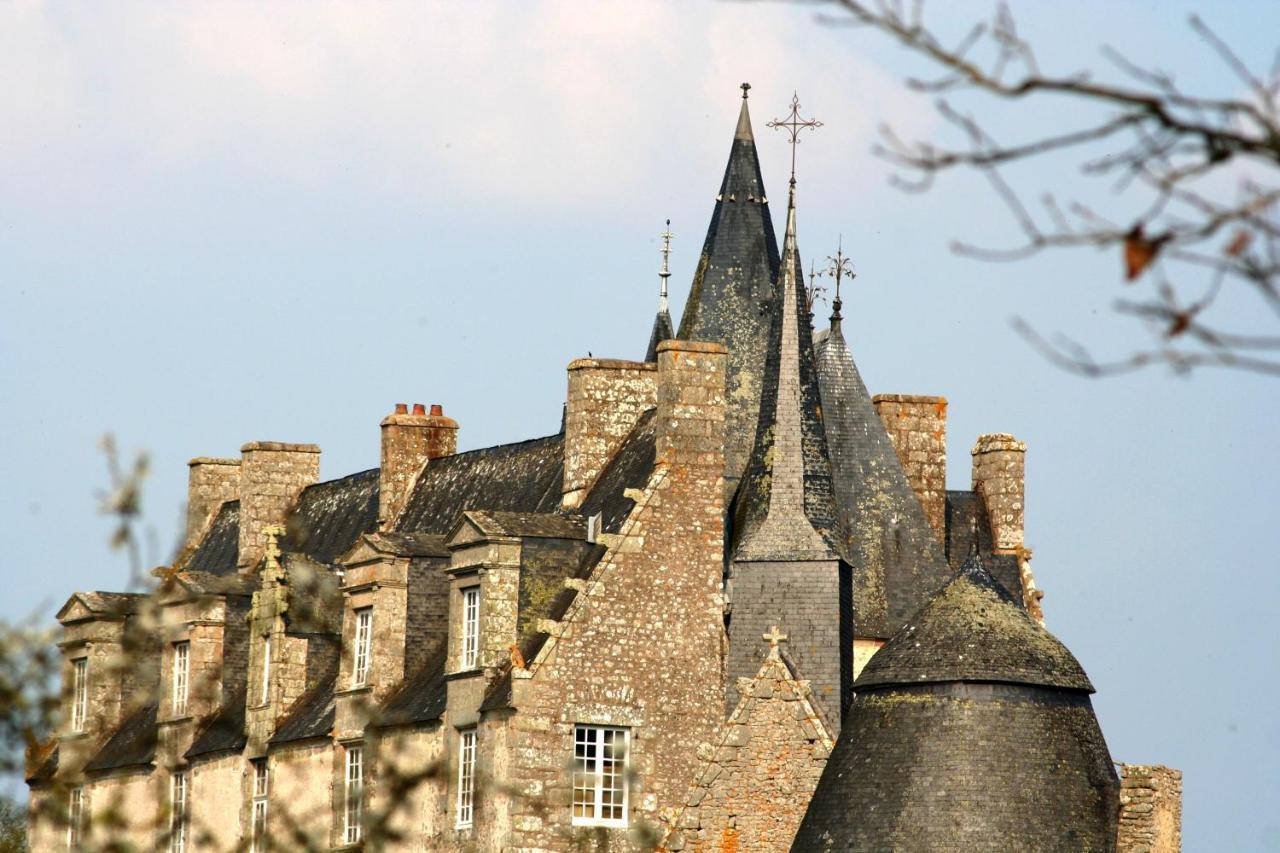 Chateau De Bourgon Montourtier Ngoại thất bức ảnh